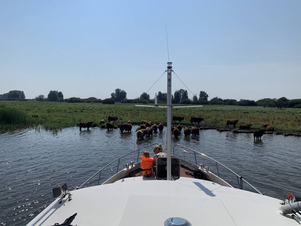 Varen met kinderen in Friesland