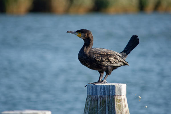 Weekend onthaasten op het water